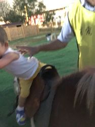 -萌宠亲子动物乐园(槐房万达店)