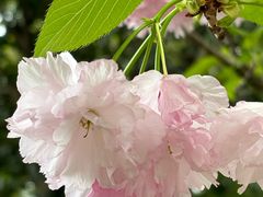 -春兰国宾馆(凤城河风景区老街店)