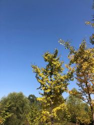 点击看大图 -爱儿美儿童摄影(奥森公园店)