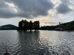 -东湖食堂·湖景餐厅•会议