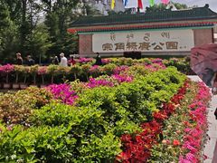 -宗角禄康公园