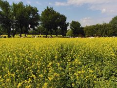 -长白岛森林公园