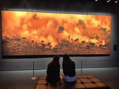 -罗红摄影艺术馆