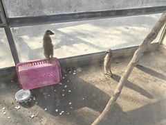-水绘园