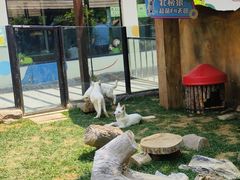 -大连森林动物园