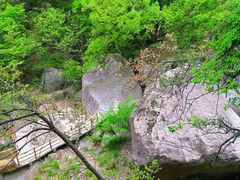 -洛阳白云山景区