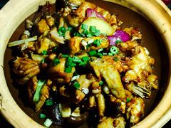 -广宁炭炉鸡煲·富临门饭店