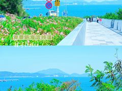 -玫瑰海岸文化旅游度假区