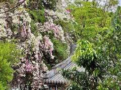 -深圳国际园林花卉博览园