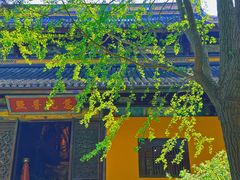 -西园戒幢律寺
