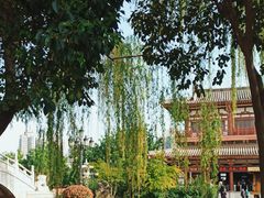 -西安青龙寺遗址景区