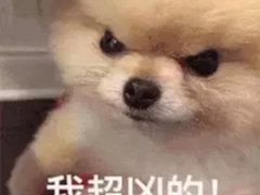 -虾满堂(瑞虹店)