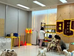 -帕帕拉兹宠物(亚洲旗舰店)