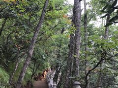 -塔云山
