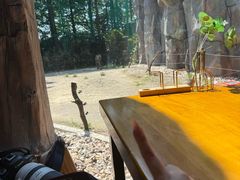 -上海野生动物园老虎餐厅