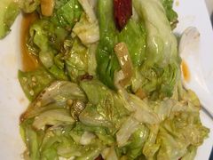 -叁拾壹克饺子·东北菜(国贸店)