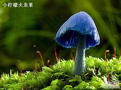 -太平洋数码广场