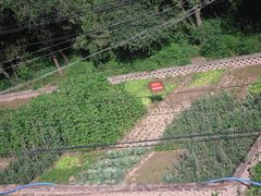 -延安杨家岭革命旧址