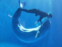 -多彩贵州城极地海洋世界