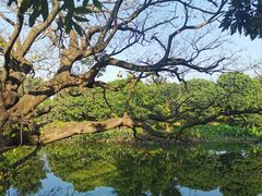 -御霞苑泥烩鸡休闲农庄