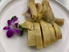 -泉龙渔村·粤式早茶·金牌烧鹅(中山三乡店)