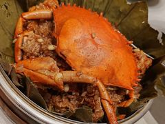 -新吉士·上海菜(浦东LCM置汇旭辉店)