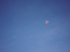 -杭州城北体育公园