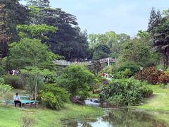 -东莞植物园