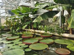 -国家植物园南园