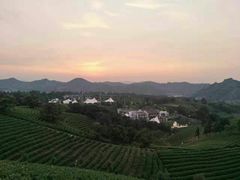 -帐篷客·溪龙茶谷度假酒店