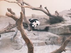 -宁波野生动物园