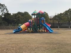 -上海都市菜园
