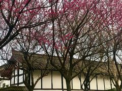 -清代四川贡院