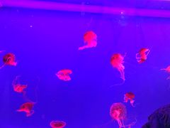 -华夏文旅西安度假区