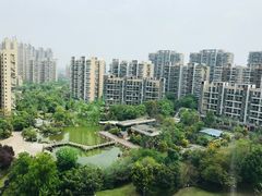 -成都保利公园皇冠假日酒店(熊猫基地店)