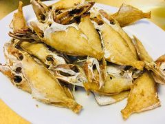 -肥弟大排档(汕樟路店)