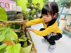 -泰宁田林幼儿园