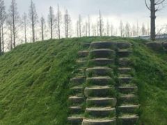 -前小桔亲子创意农场·草莓采摘·露营烧烤