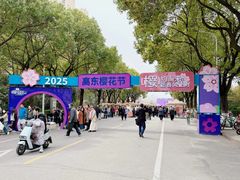-高东镇樱花园