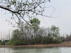 -白鹭湾湿地公园