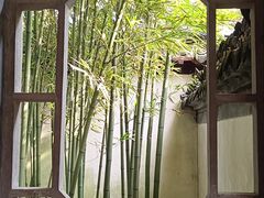 -秋霞圃