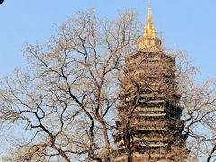 -红梅公园