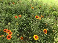 -北运河水利风景区