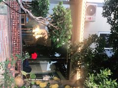 -陈岱后山窑鸡店