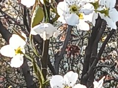 -唐御宴•御宴宫•唐代菜点(芙蓉西路店)