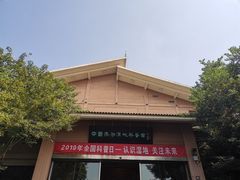 -溱湖国家湿地公园