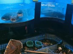 -千岛湖小鱼儿·淳安匠心农家菜