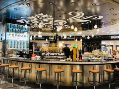 -米兰马尔彭萨国际机场