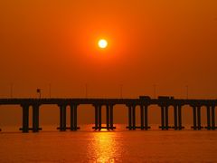 -宝安西湾红树林湿地公园