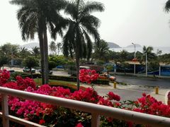 android_upload_pic-三亚亚龙湾金棕榈度假酒店